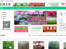 第一苗木站