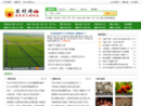 中国农村网