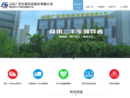 广安车联